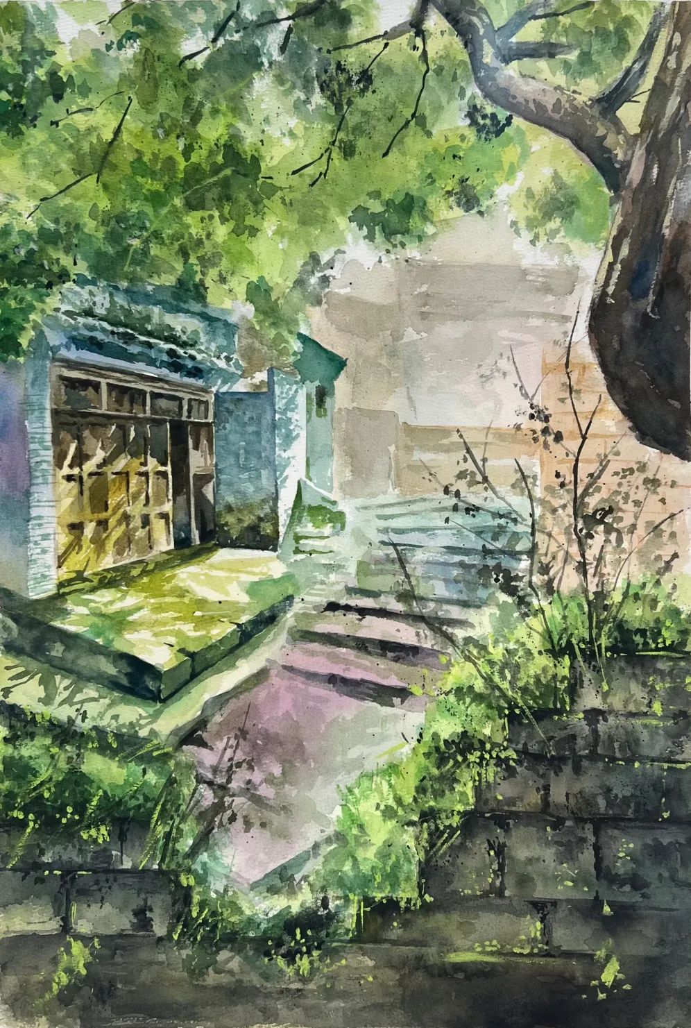 说明: 图片 说明: 图片